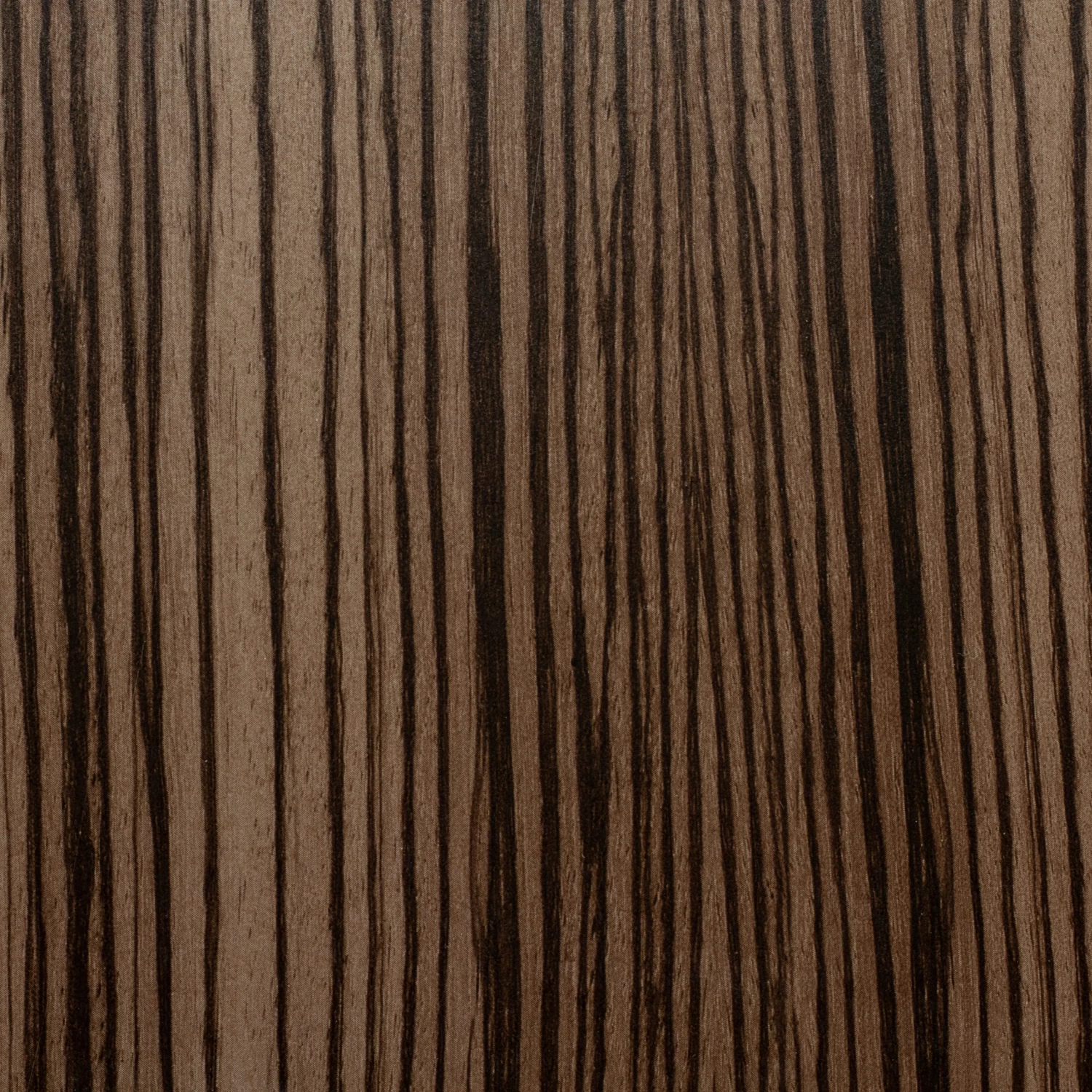 Gaggia Cadorna Barista Plus Automatic Espresso Machine - Zebrano Grain 4 Gaggia Cadorna Barista Plus Automatic Espresso Machine - Zebrano Grain - Image 4