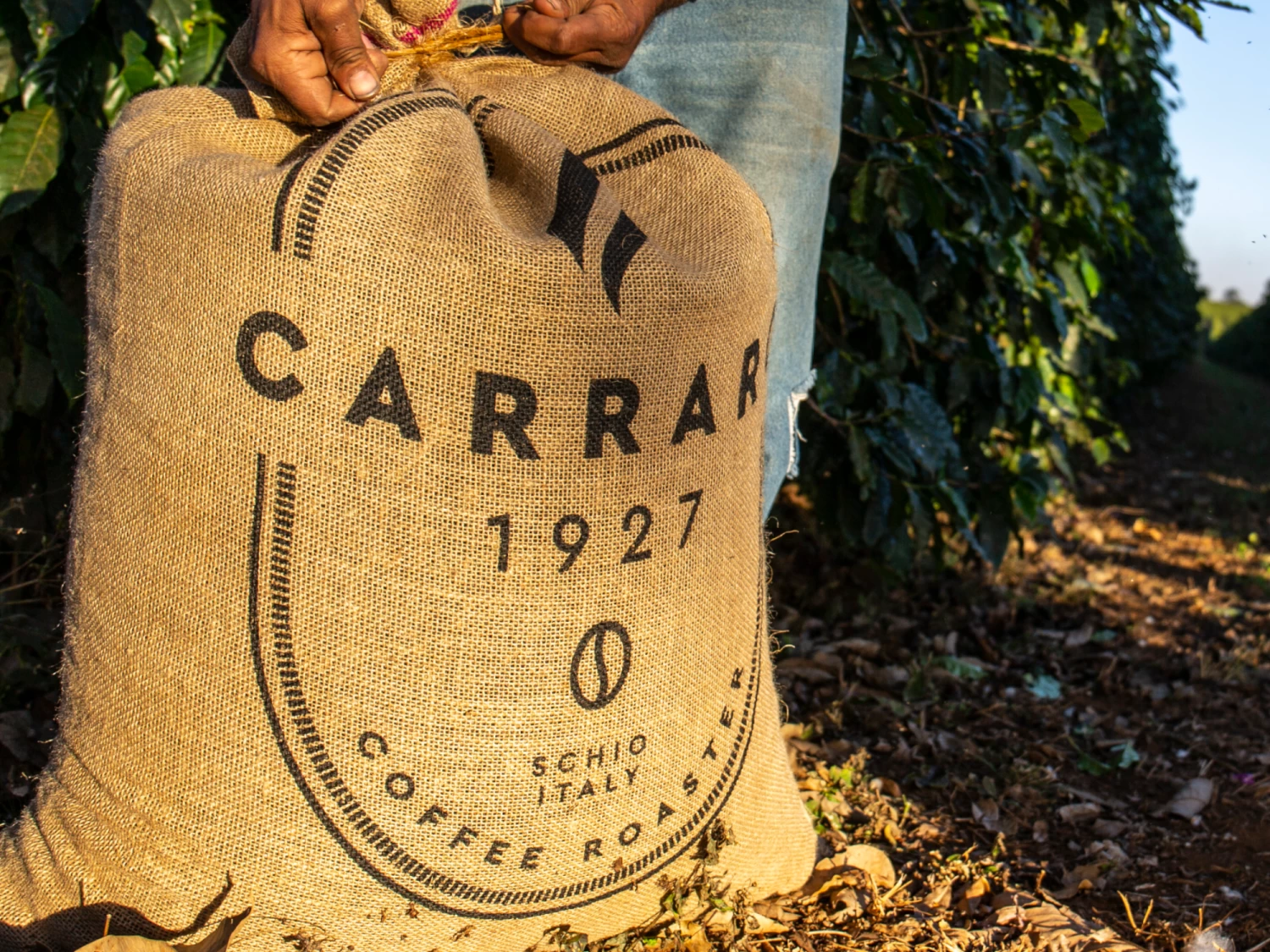 Carraro Tazza D'Oro Decaf 2 Carraro Tazza D'Oro Decaf - Image 2