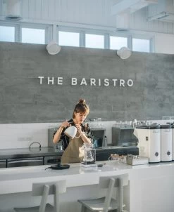 Brewista Artisan Electric Gooseneck Kettle - Pearl White -Coffee Gear Shop IMG 2932newlogo